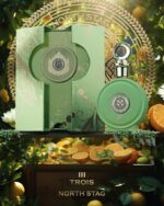 Paris Corner North Stag Expressions III Trois unisex kvepalai Extrait De Parfum PP 100 ml vyrams ir moterims - Image 3