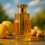 Emir Lueur D'Espoir Memories Of Summer kvepalai unisex EDP 100 ml vyrams ir moterims - Image 8