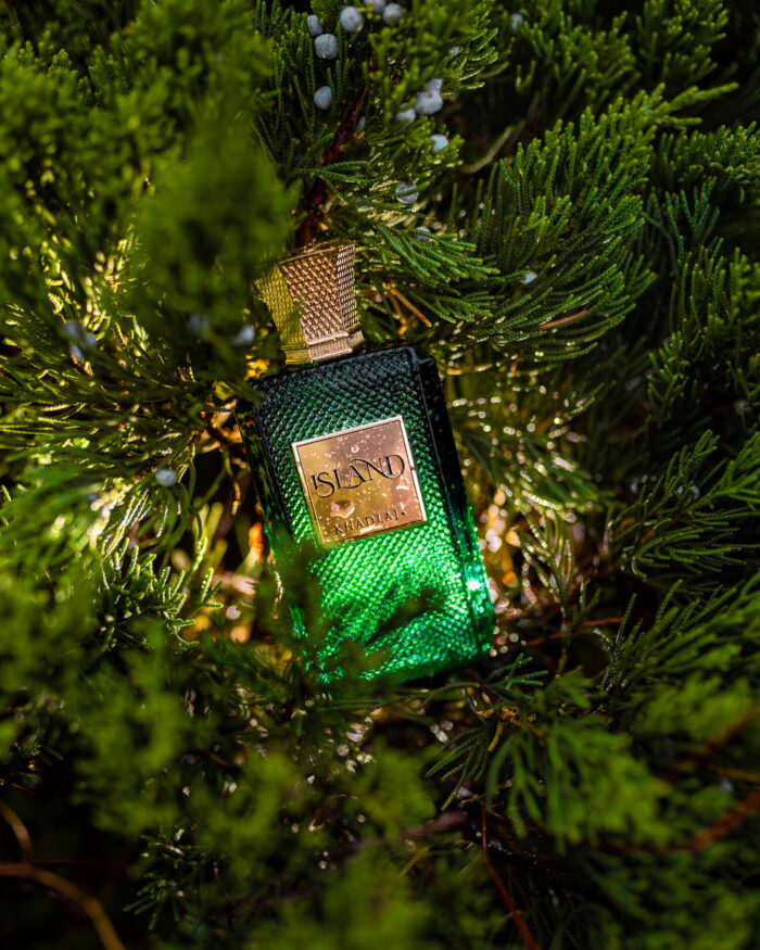 Khadlaj Island unisex perfume 100 ml Extrait de Parfum PP for men and women - Image 8